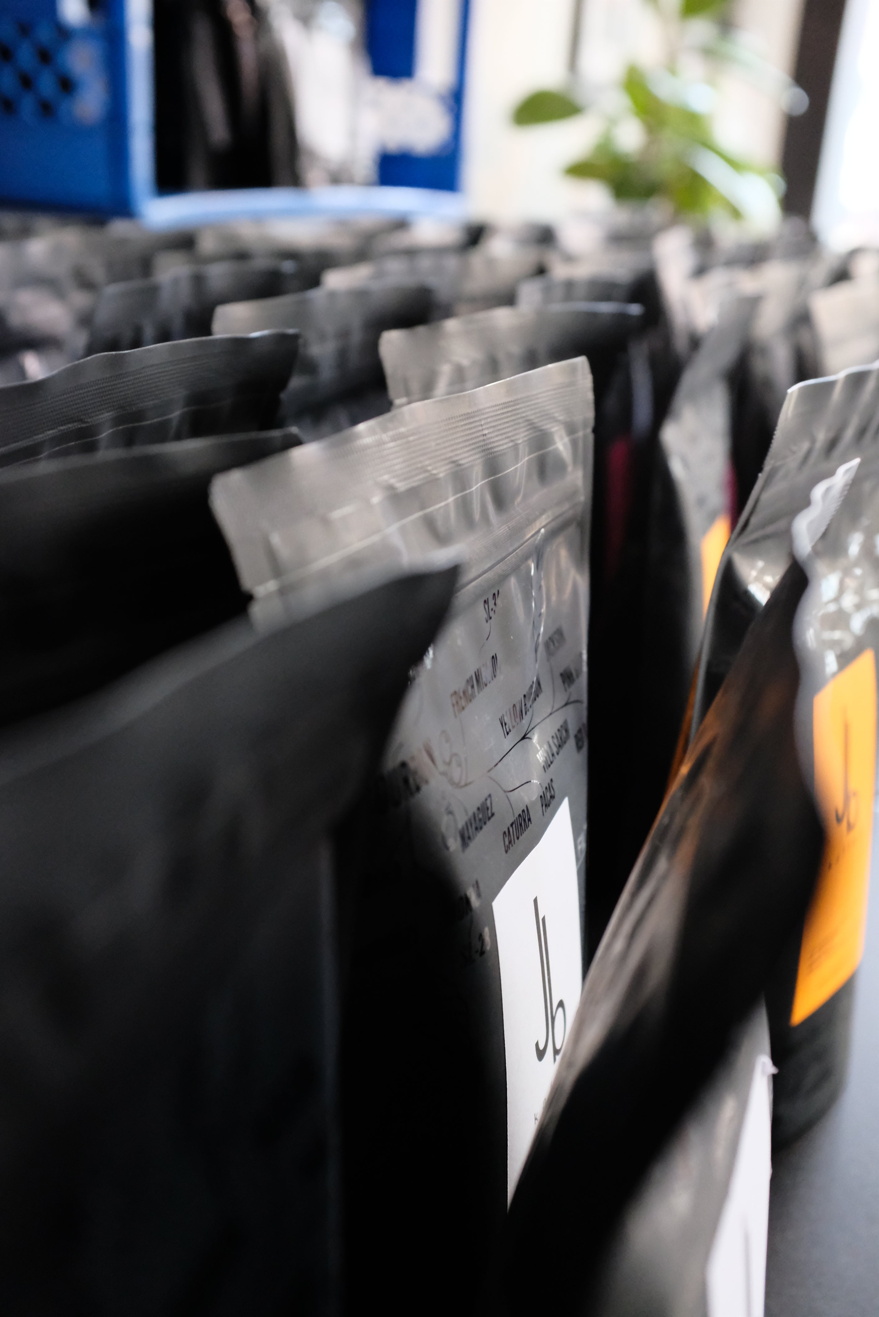 KW2 | Viele neue Produkte!