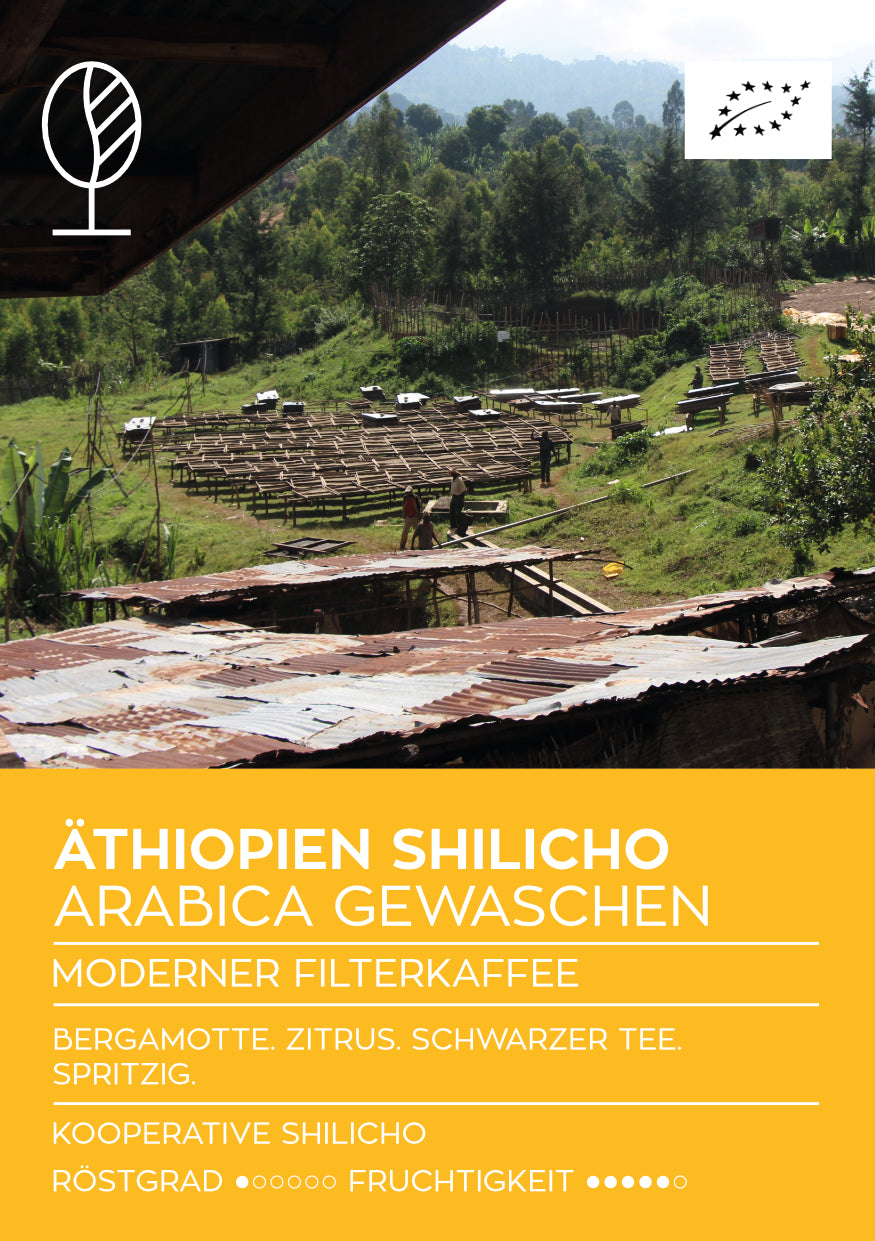 ÄTHIOPIEN SHILICHO GEWASCHEN | Moderner Filterkaffee | Single Origin