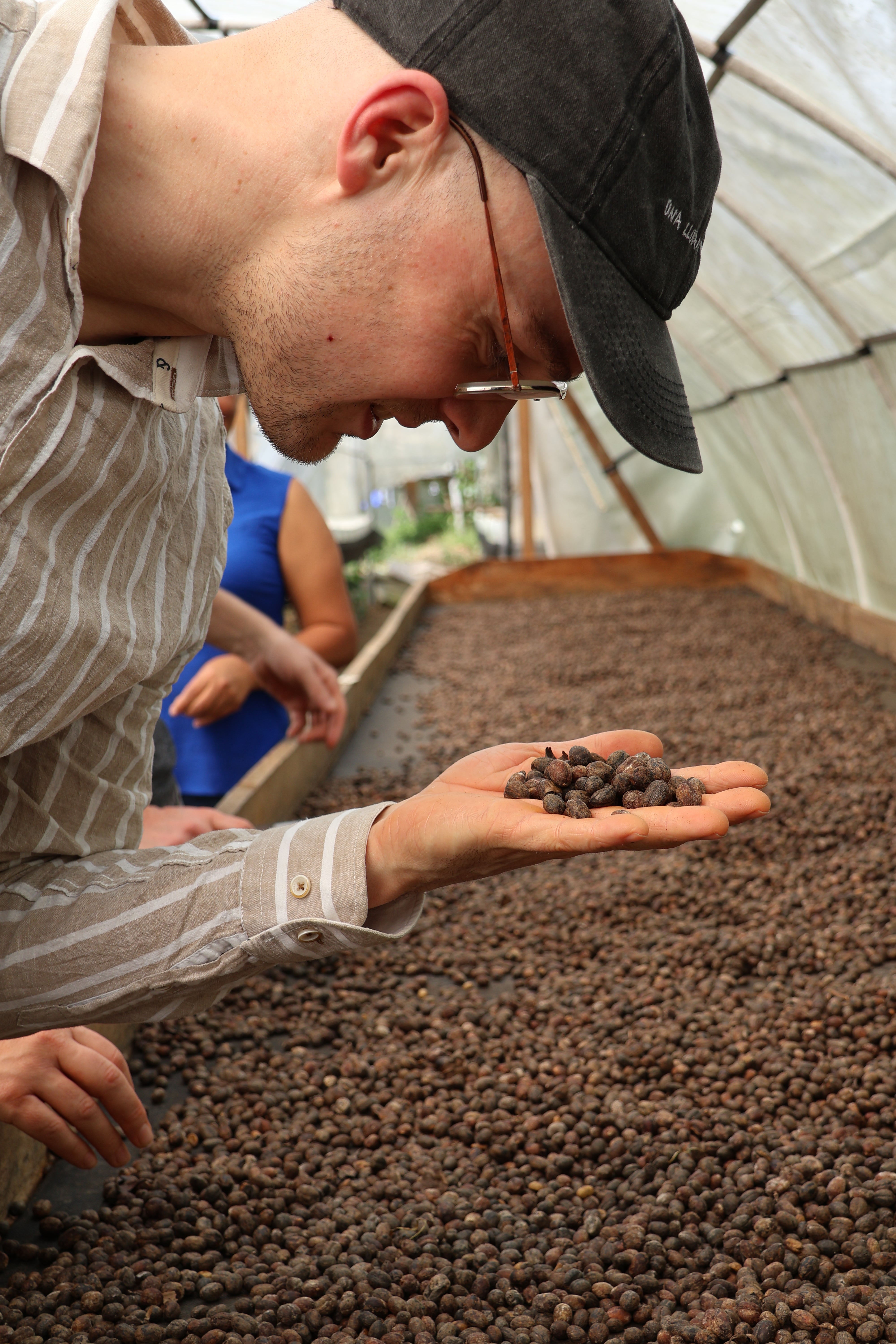 HONDURAS APROLMA | CO2 DECAF / ENTKOFFEINIERT | Espresso - Single Origin