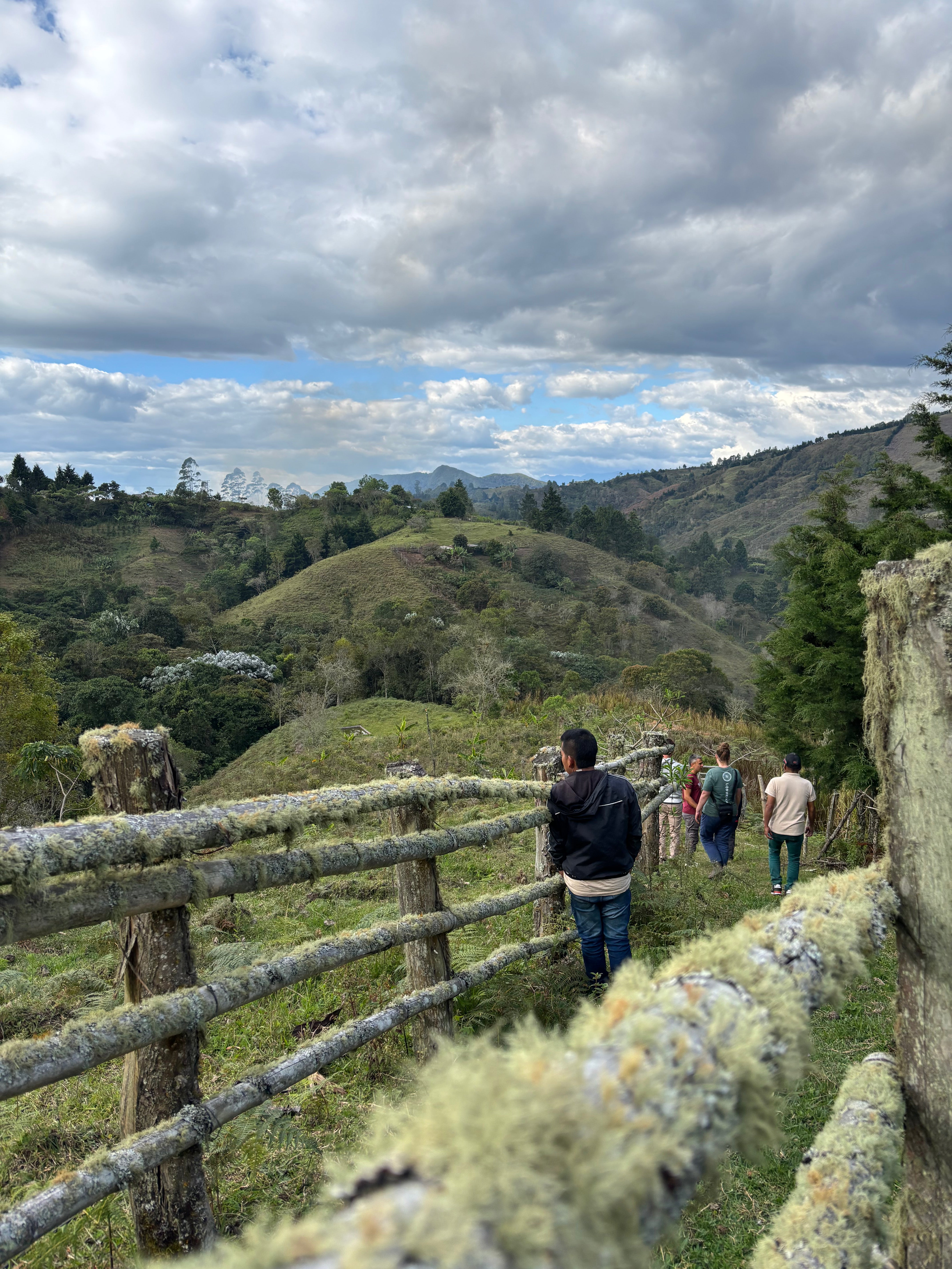 KOLUMBIEN FONDO PAEZ | gewaschen| Moderner Filterkaffee