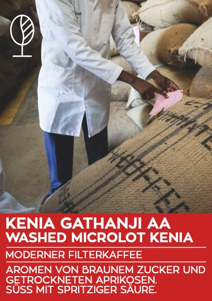 Kenia Gathanji AA - Microlot, washed | Moderner Filterkaffee