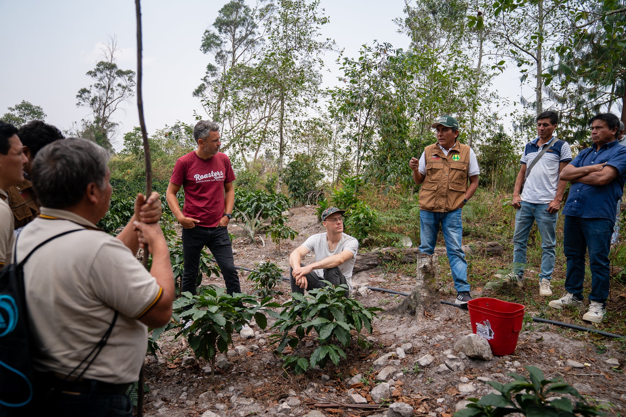 RUTAS DEL INCA | Peru Microlot Doppelt-Anaerob 96h fermentiert & Gewaschen | Moderner Filterkaffee | Single Origin