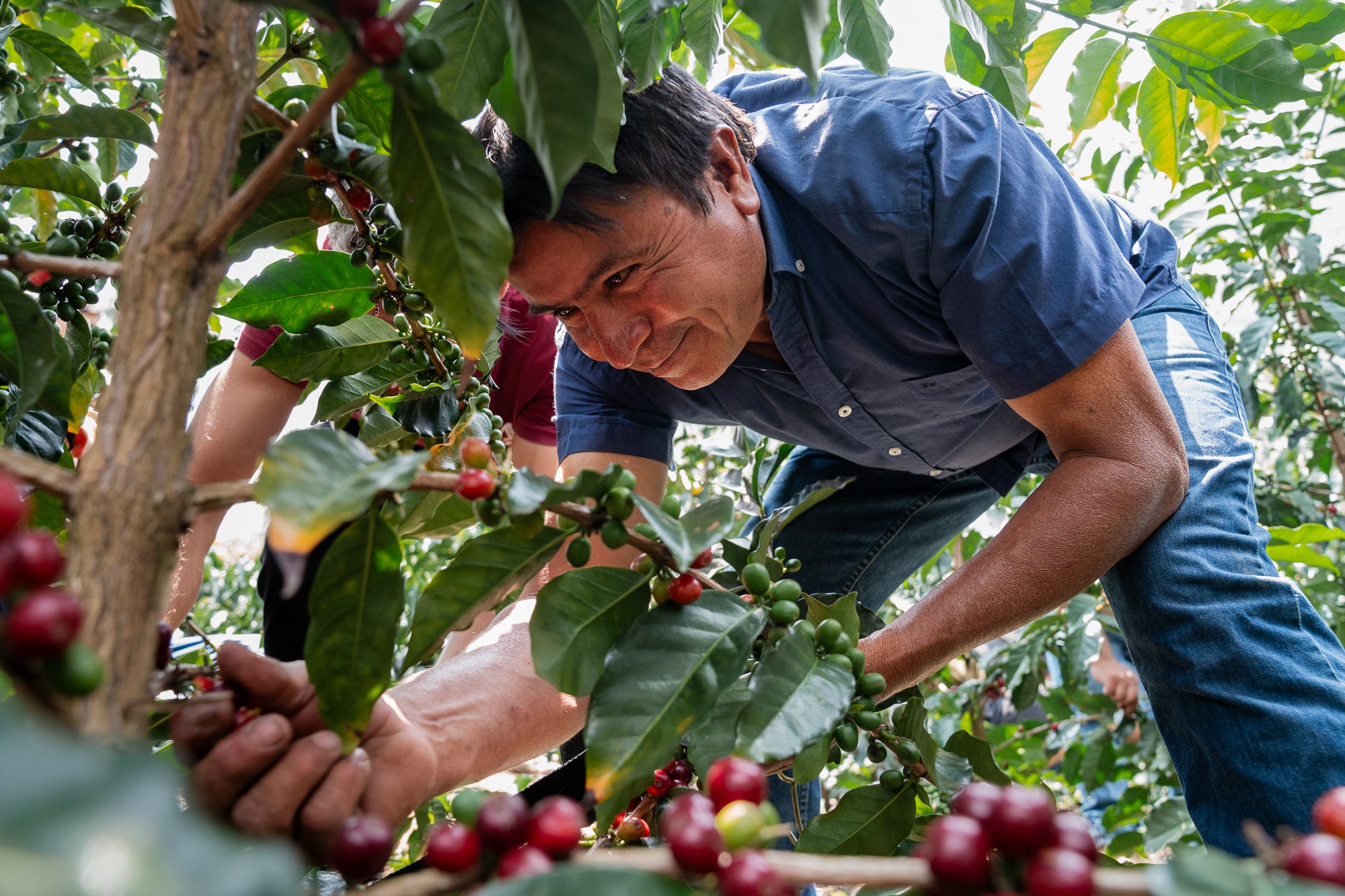 BOOTSMANN | Espresso | Ferien in der Schokoladenfabrik