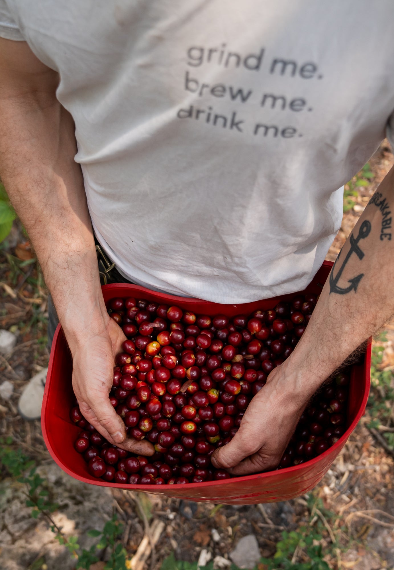 BOOTSMANN | Espresso | Ferien in der Schokoladenfabrik