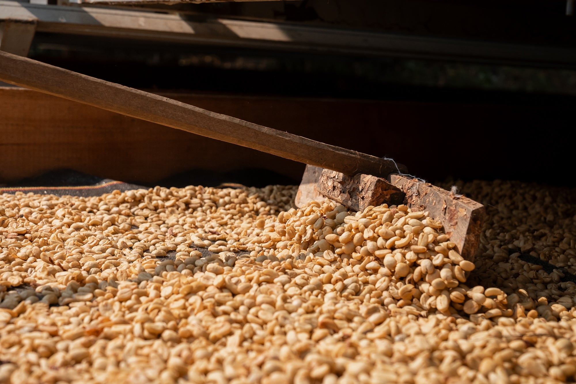 PERU RUTAS DEL INCA | Microlot Anaerob Gewaschen | Moderner Filterkaffee | Single Origin