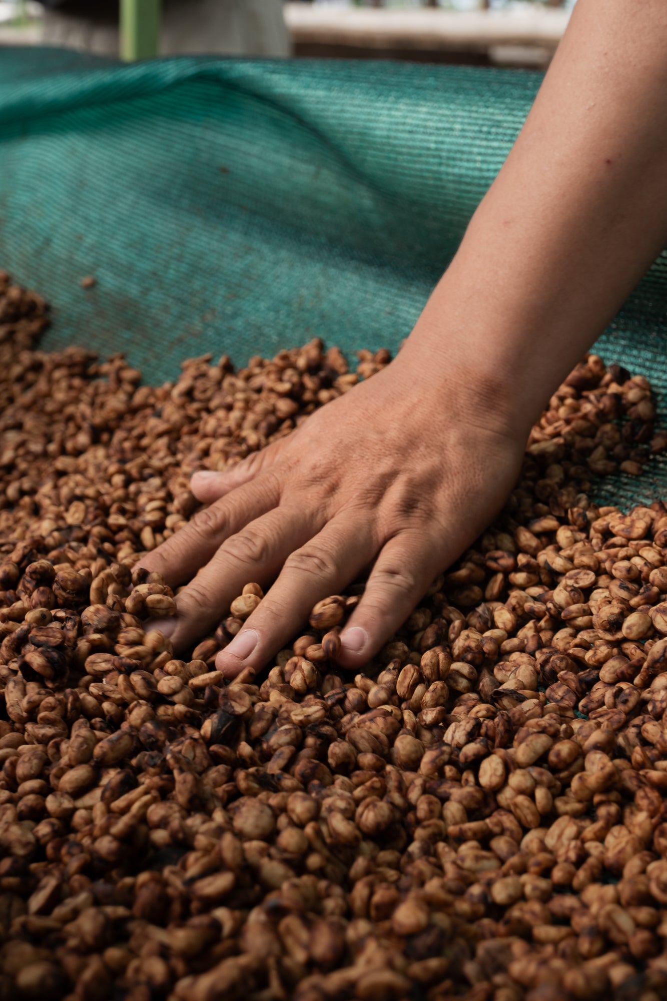 PERU CENFROCAFE HONEY | Moderner Espresso | Single Origin