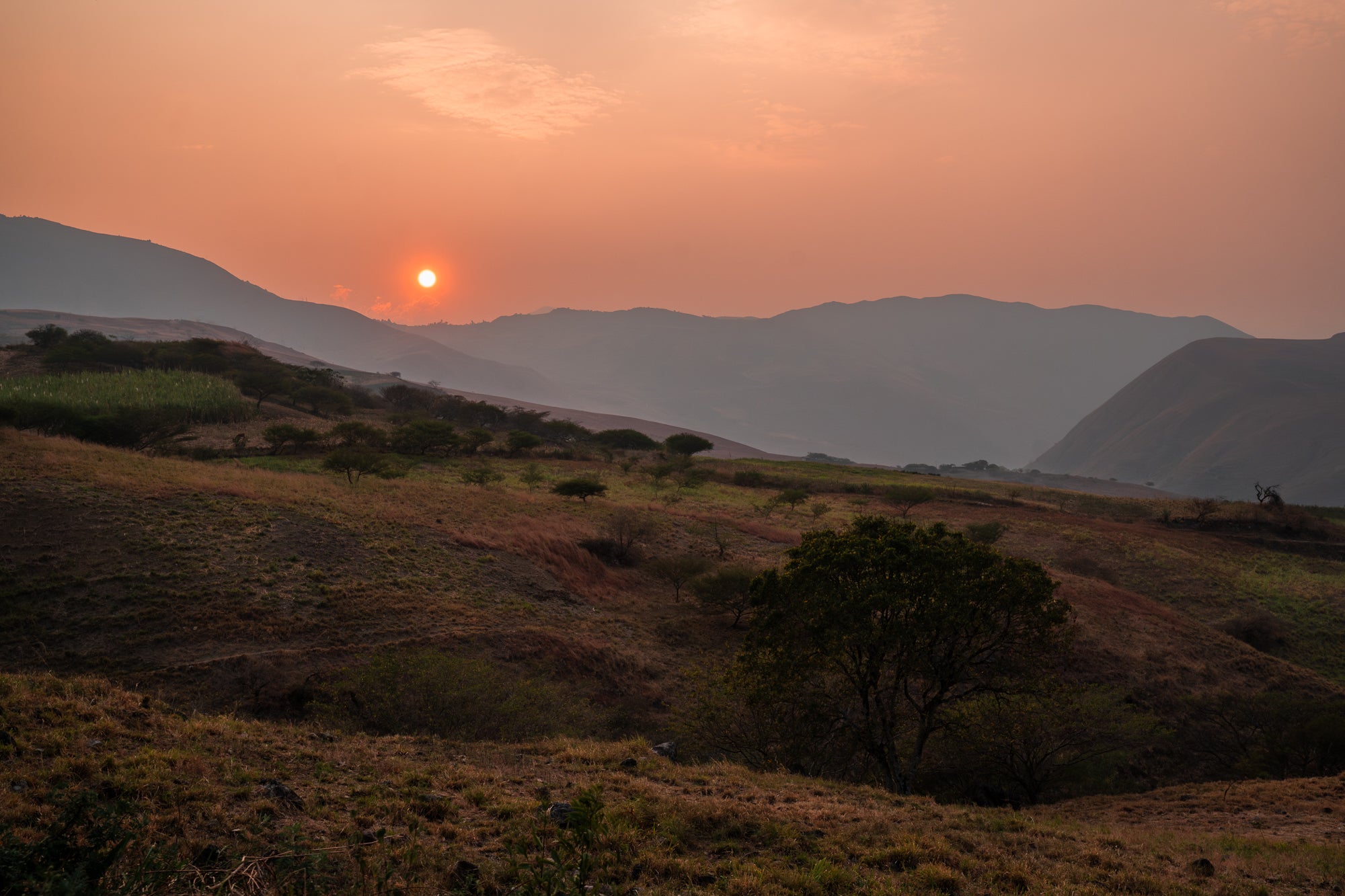 PERU RUTAS DEL INCA | Microlot Anaerob Gewaschen | Moderner Filterkaffee | Single Origin