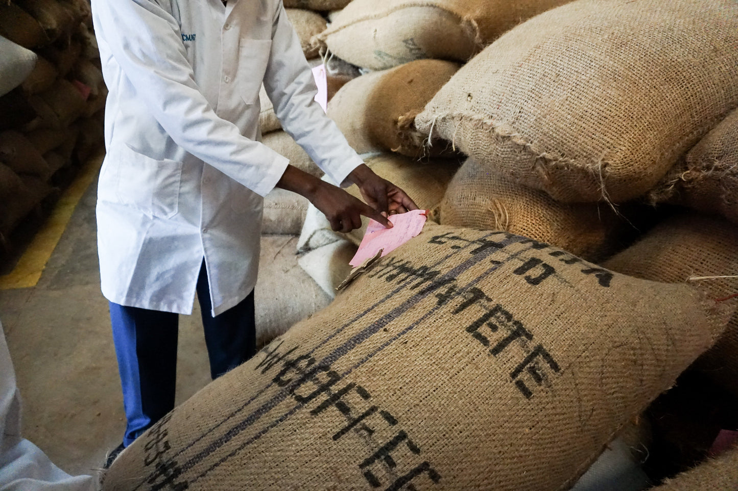 Kenia Gathanji AA - Microlot, washed | Moderner Filterkaffee