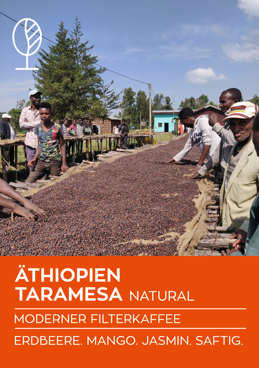 ÄTHIOPIEN TARAMESA NATURAL | Moderner Filterkaffee | Single Origin