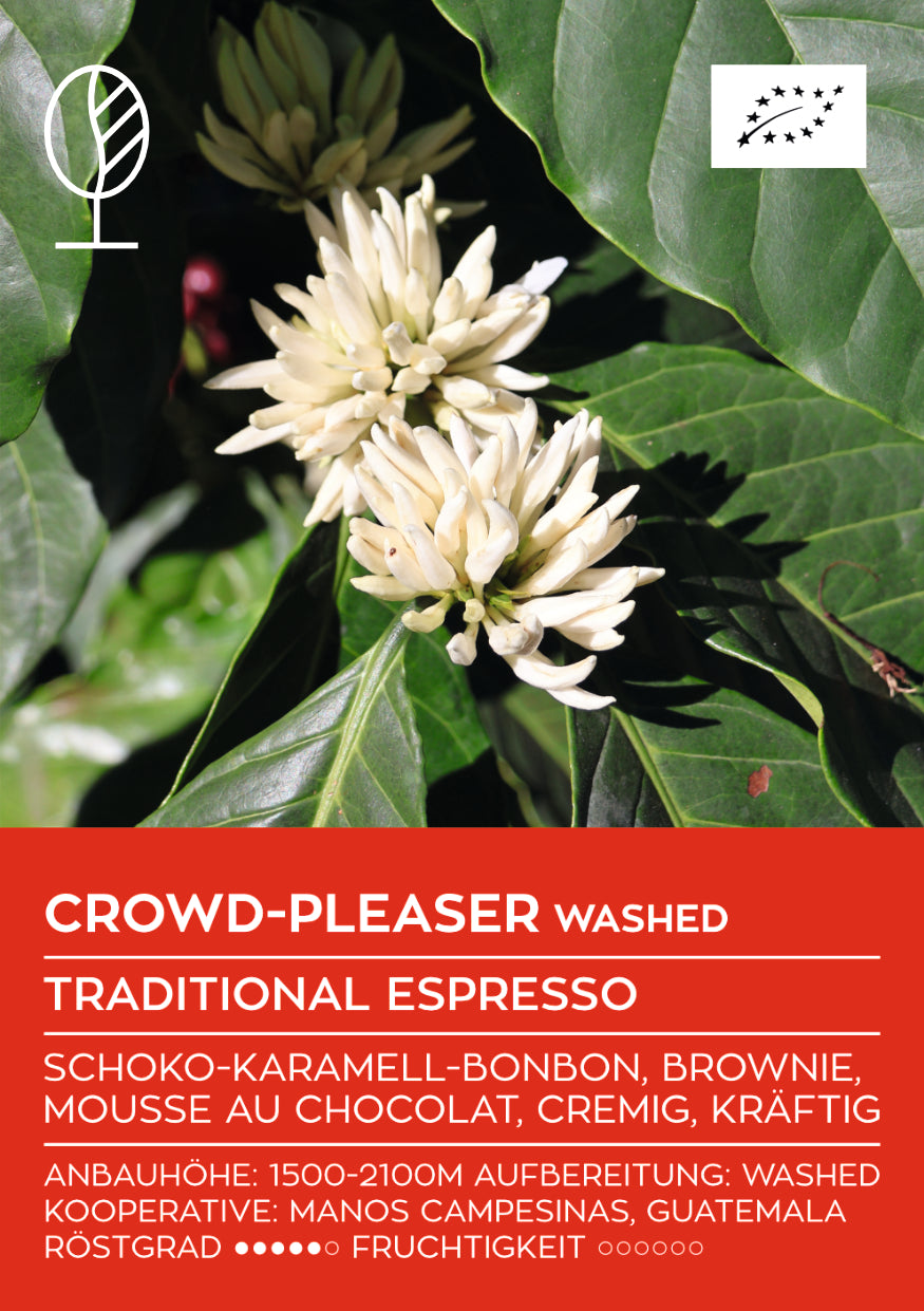 CROWD PLEASER (Dark Roast) | Traditional Espresso | Single Origin