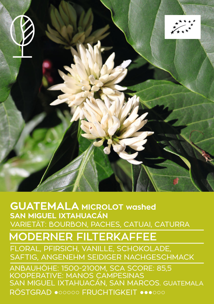 GUATEMALA SAN MIGUEL IXTAHUACÁN MICROLOT | Moderner Filterkaffee | Single Origin