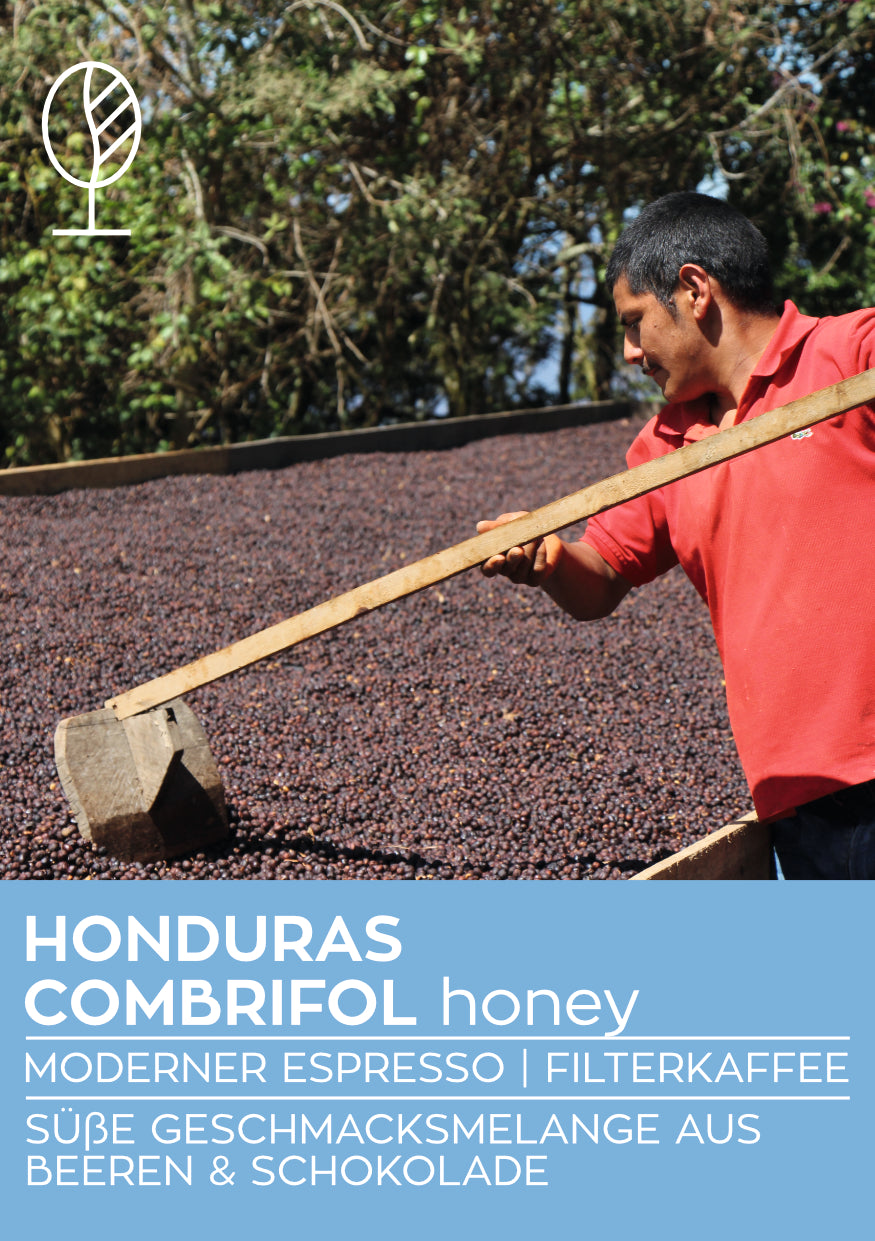 Honduras Honey | Moderner Filterkaffee