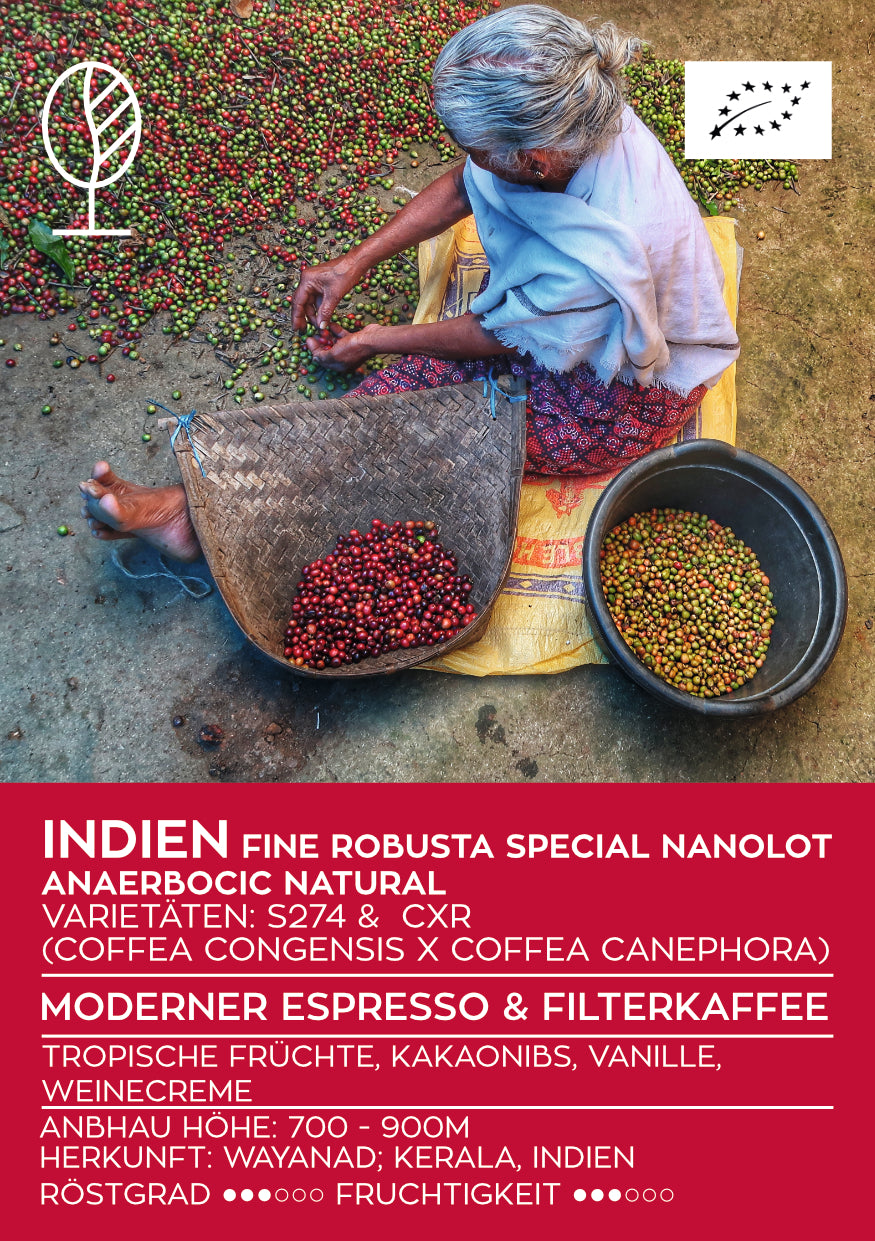 INDIEN ANAEROBIC NATURAL | Fine Robusta Special Nanolot | Filterkaffee & Moderner Espresso