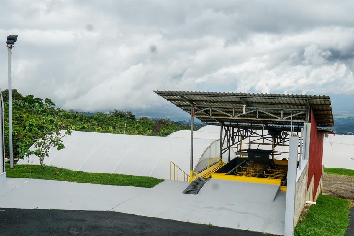 Costa Rica, Perla del Café, Yellow Honey SL-28 | Moderner Filterkaffee