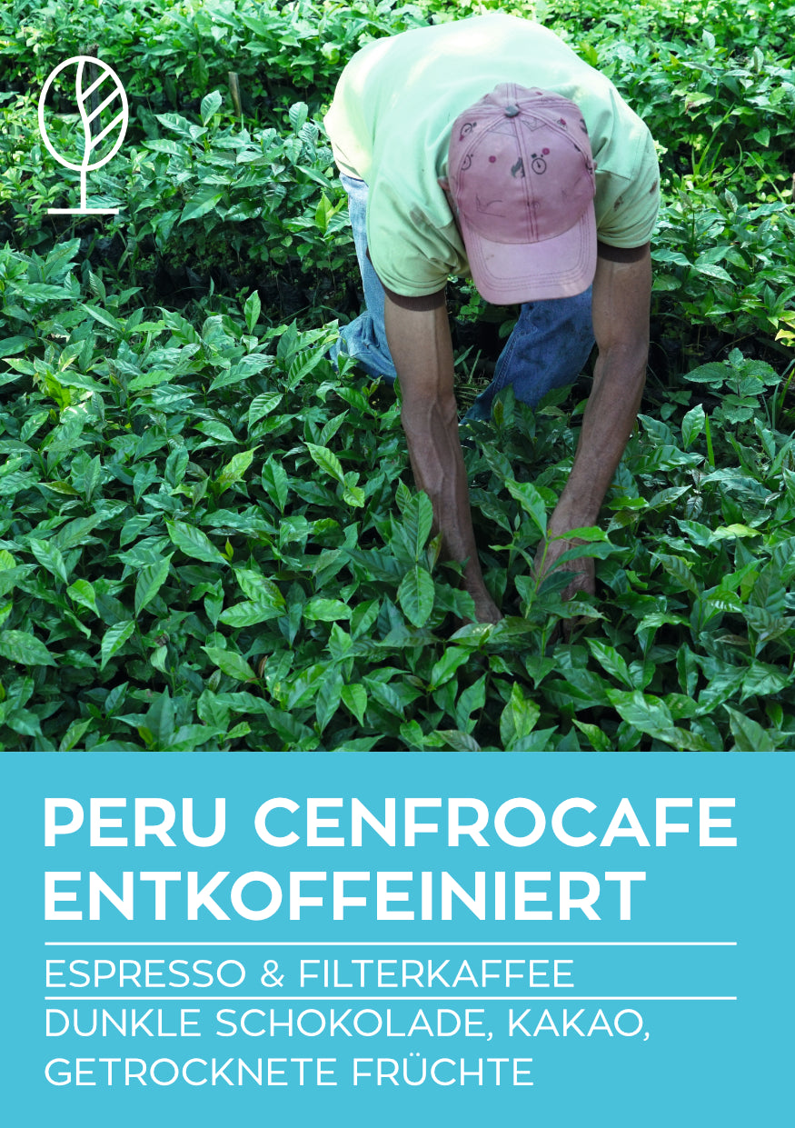 PERU CENFROCAFE DECAF / ENTKOFFEINIERT | Espresso & Filterkaffee