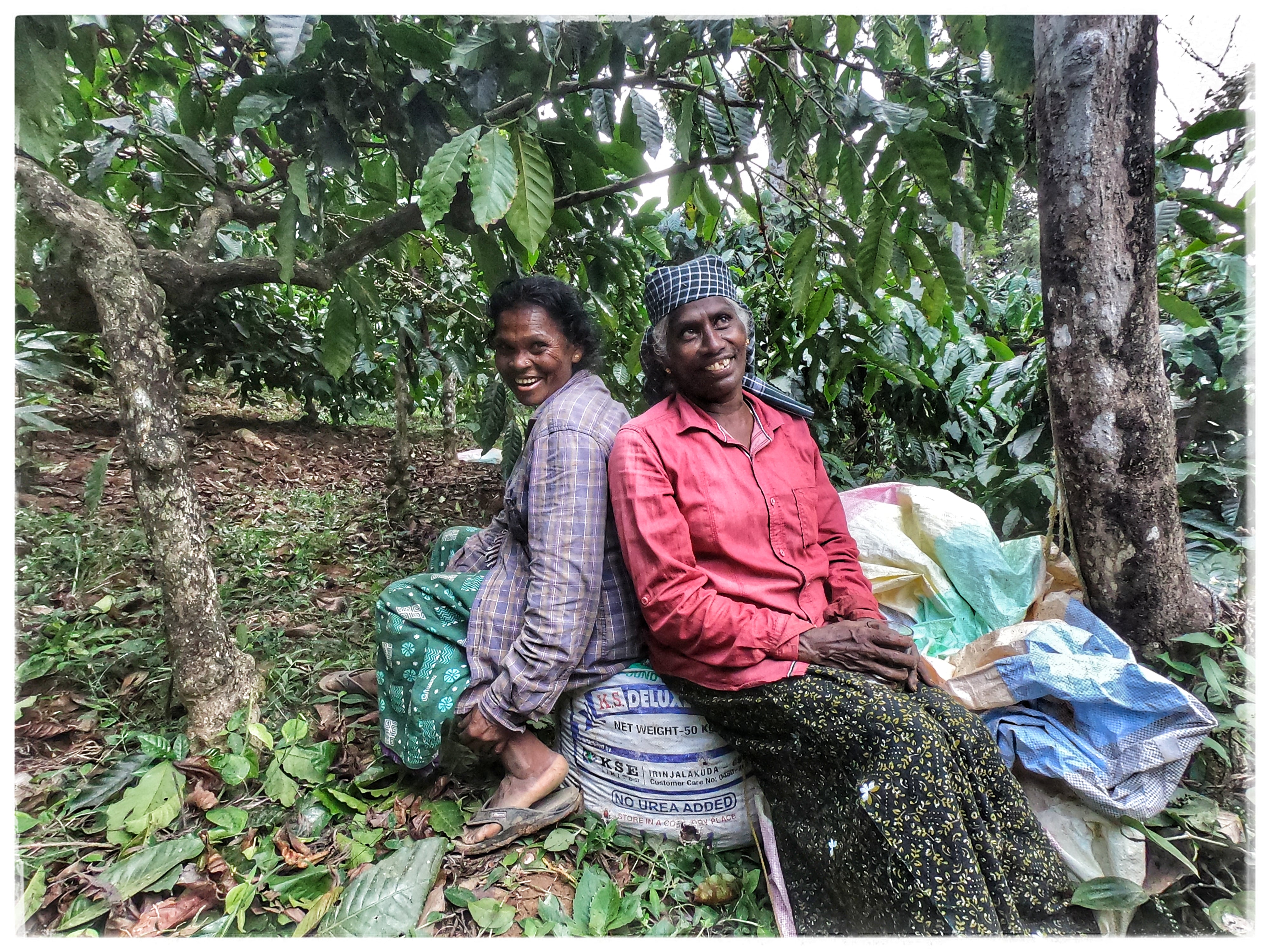 INDIEN ANAEROBIC NATURAL | Fine Robusta Special Nanolot | Filterkaffee & Moderner Espresso