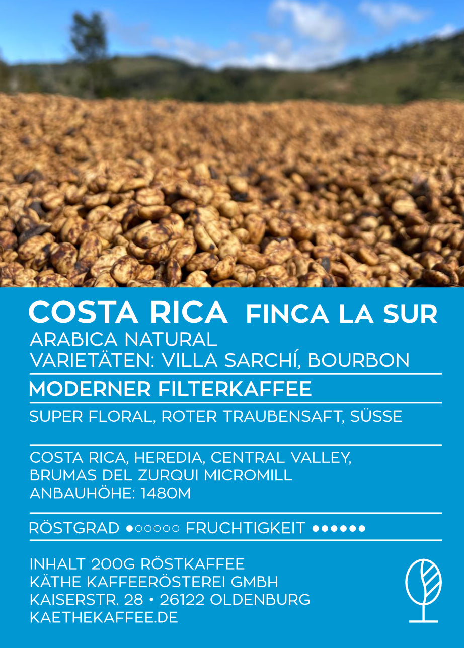 Costa Rica Villa Sarchí Natural | Microlot | Single origin | Moderner Filterkaffee