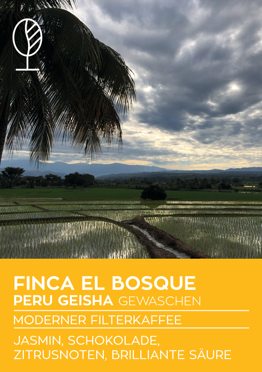 FINCA EL BOSQUE | Peru Microlot GEISHA | Moderner Filterkaffee