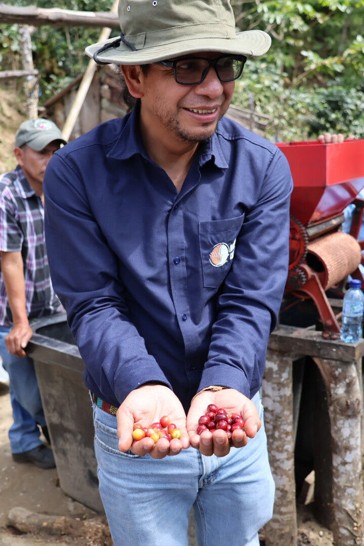 MANOS CAMPESINAS GUATEMALA | Moderner Espresso / Klassischer Filter | Single Origin