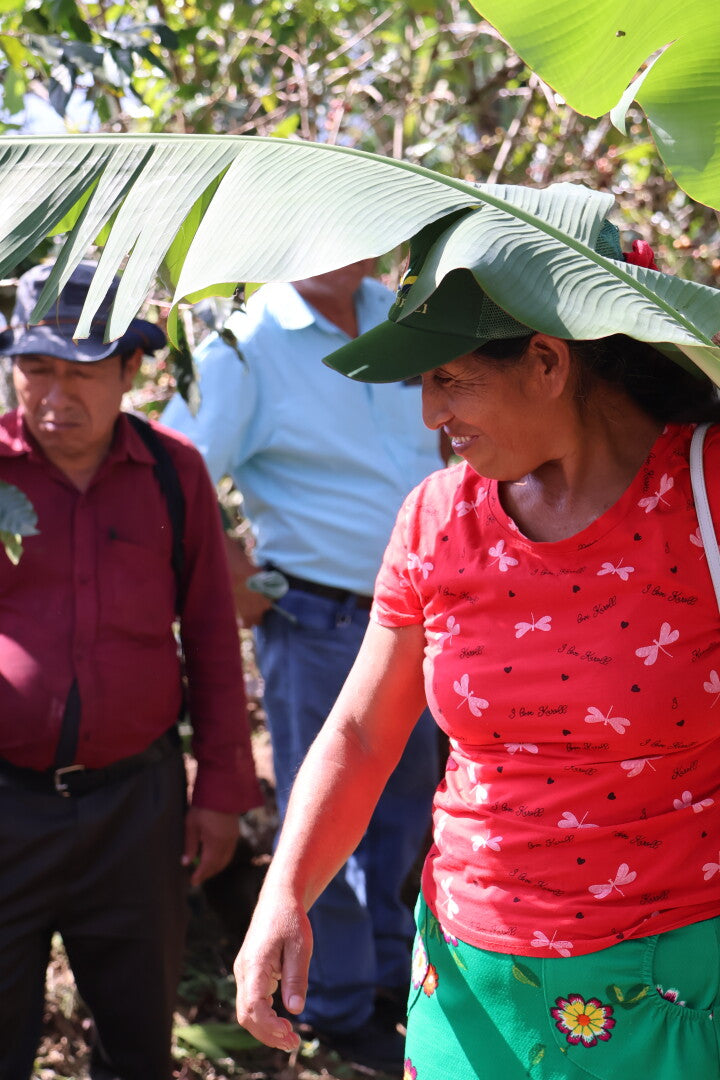 MANOS CAMPESINAS GUATEMALA | Moderner Espresso / Klassischer Filter | Single Origin