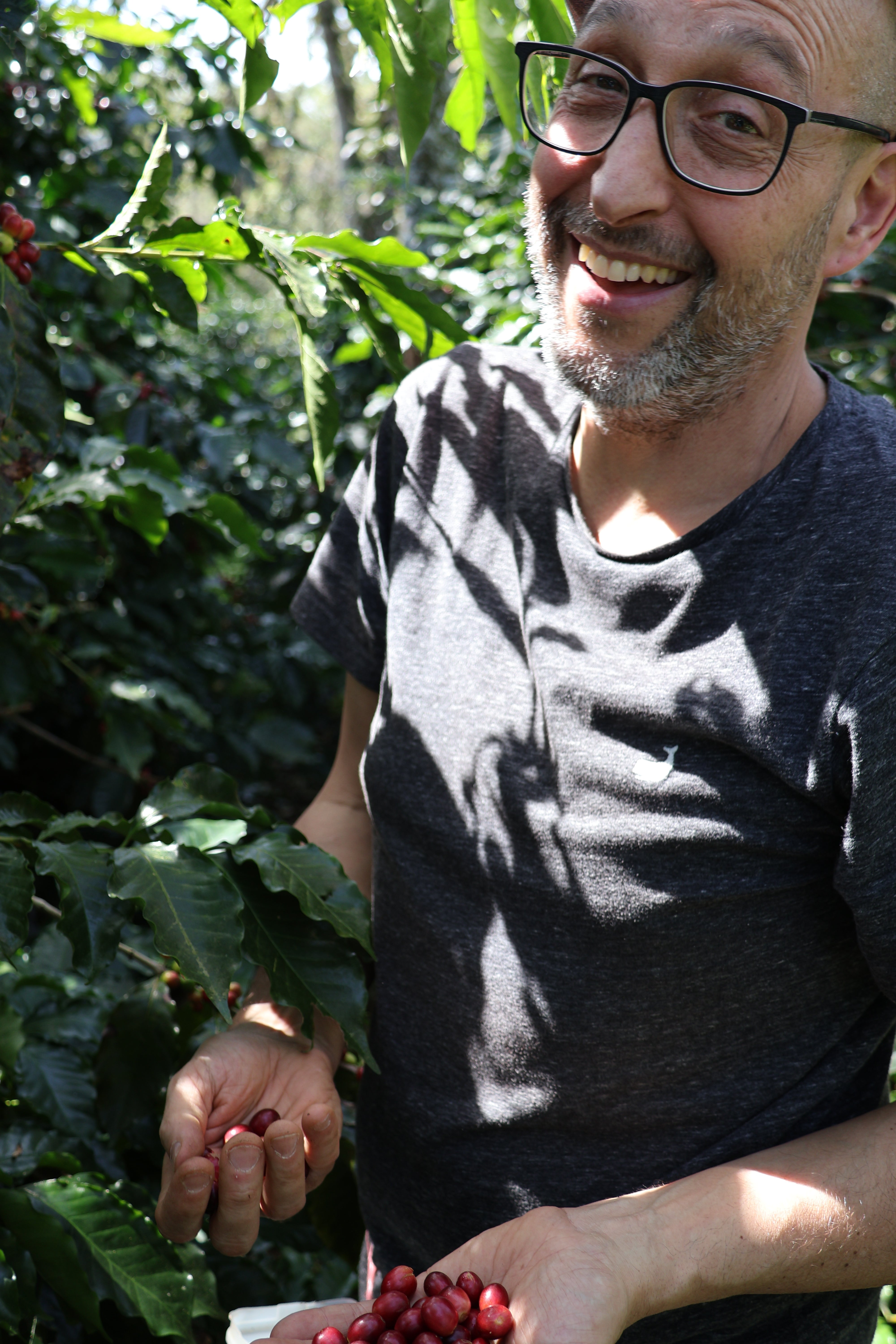 HONDURAS APROLMA | CO2 DECAF / ENTKOFFEINIERT | Espresso - Single Origin