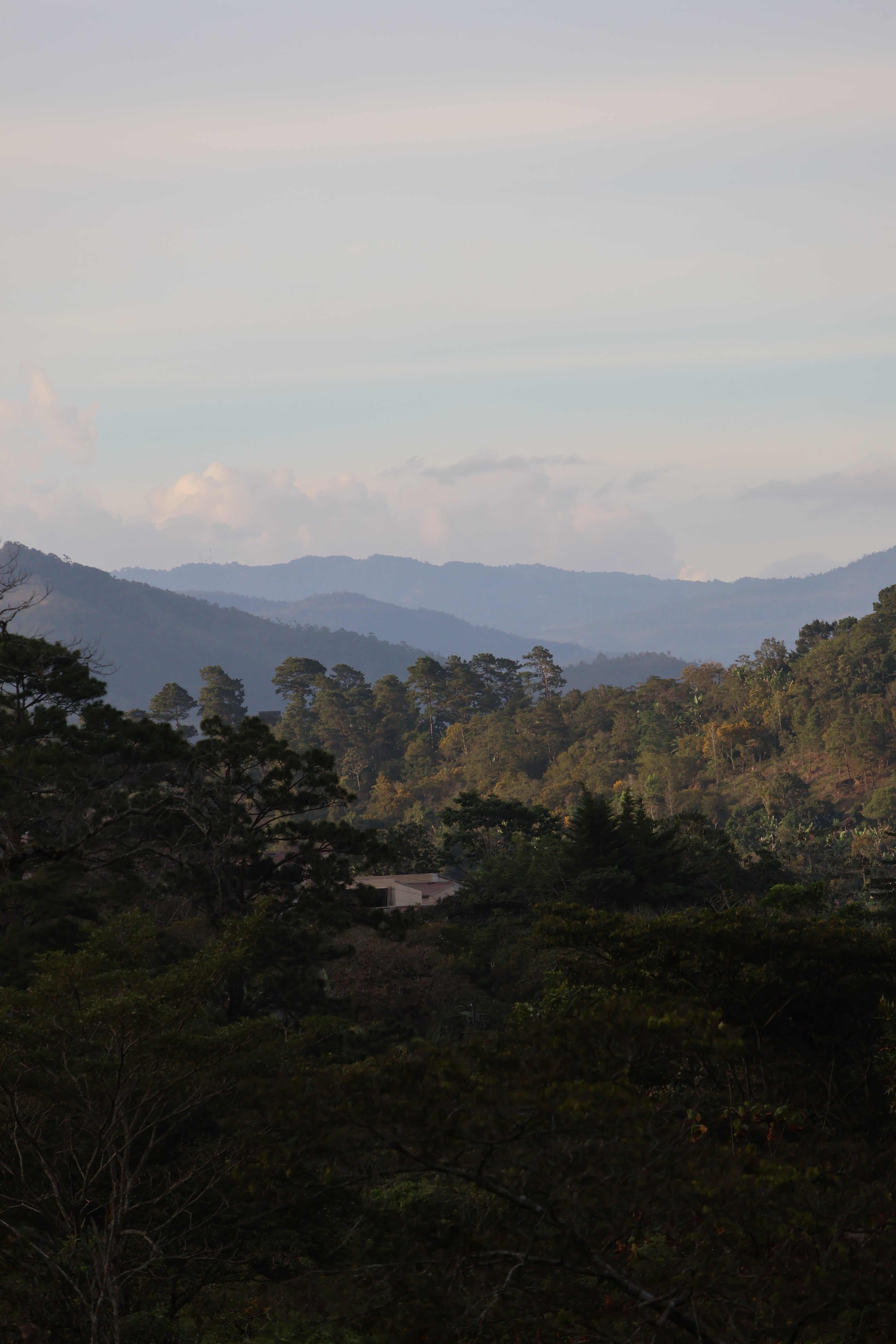 HONDURAS APROLMA | CO2 DECAF / ENTKOFFEINIERT | Espresso - Single Origin