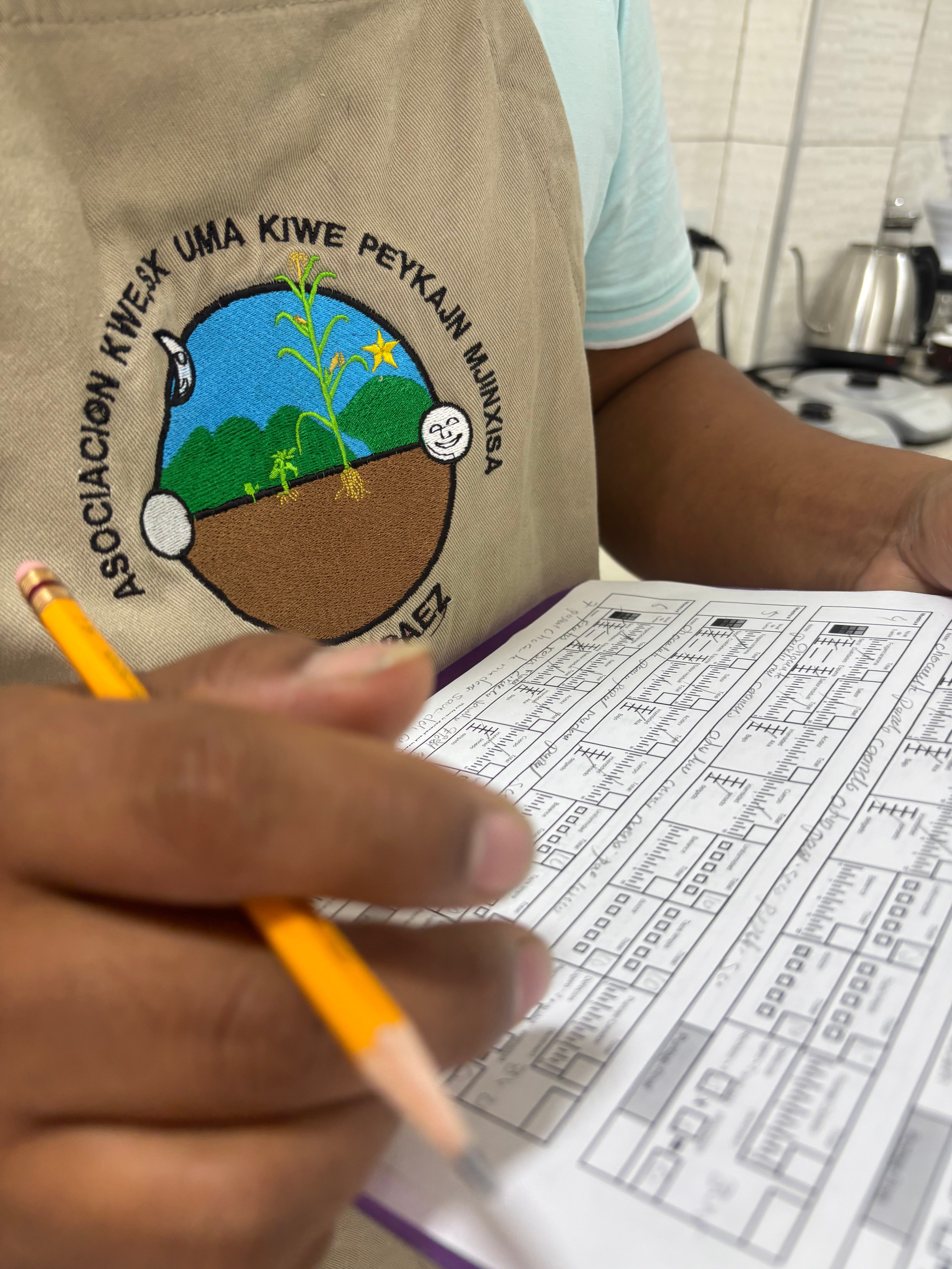 KOLUMBIEN FONDO PAEZ | gewaschen| Moderner Filterkaffee