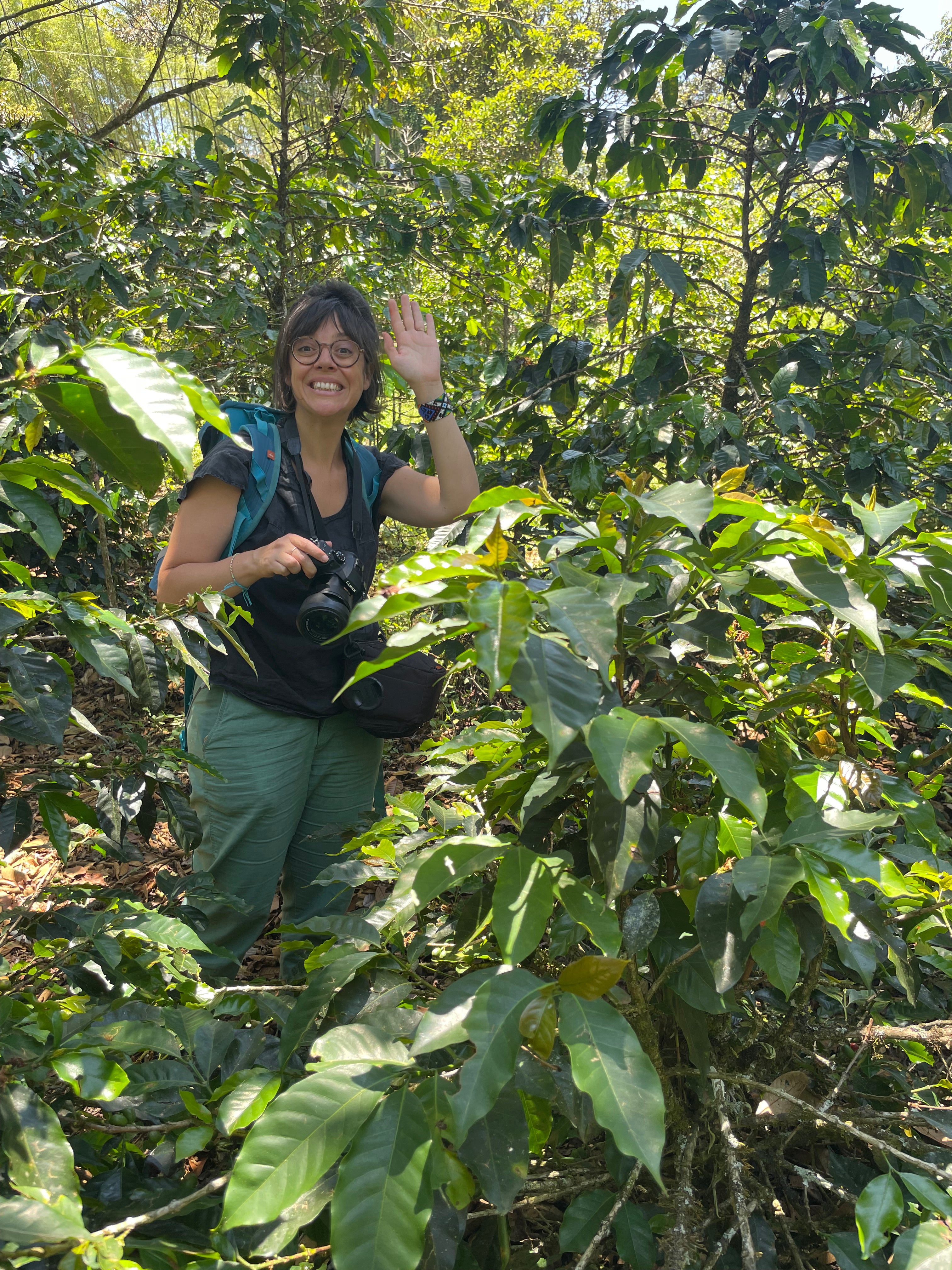 KOLUMBIEN COSURCA | Honey Microlot | Moderner Filterkaffee | Single Origin
