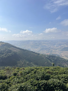 BRASILIEN COOPFAM | Natural Microlot | Moderner Filterkaffee | Single Origin