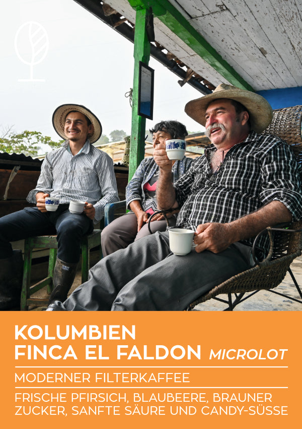 Kolumbien EL FALDON, washed | Moderner Filterkaffee