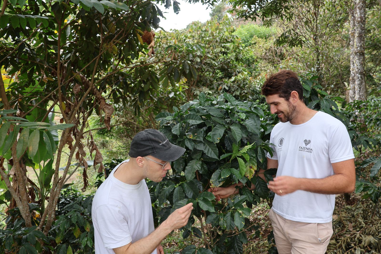 BRASILIEN Fazenda Santo André – Rafael Jacob | Moderner Espresso & Kaffee  | Single Origin