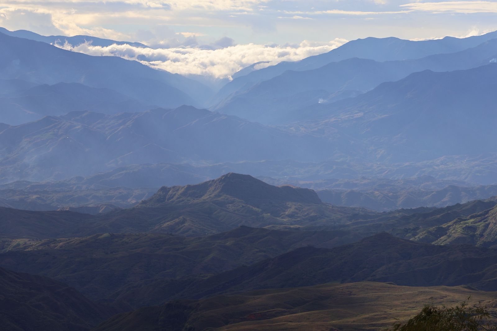 KOLUMBIEN COSURCA | Microlot Honey | Moderner Espresso & Kaffee | Single Origin