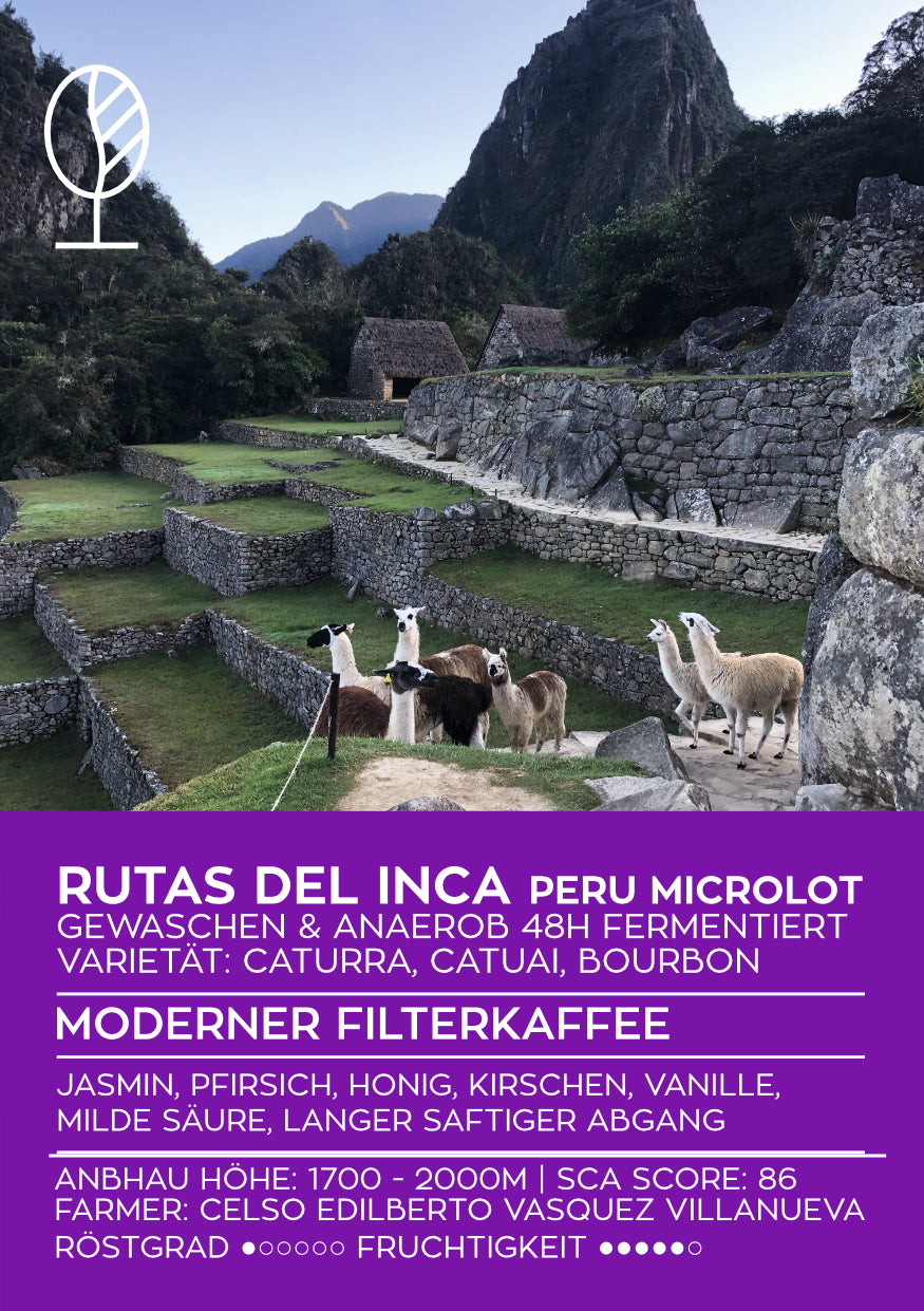 RUTAS DEL INCA | Peru Microlot Anaerob Gewaschen | Moderner Filterkaffee | Single Origin