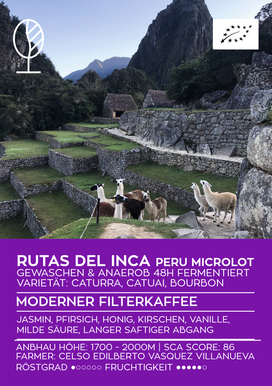RUTAS DEL INCA | Peru Microlot Anaerob Gewaschen | Moderner Filterkaffee | Single Origin