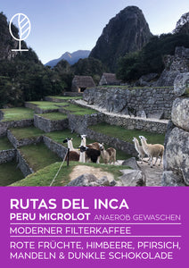 RUTAS DEL INCA  | Peru Microlot Anaerob Gewaschen | Moderner Filterkaffee