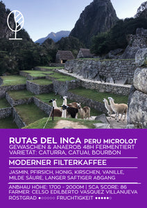 RUTAS DEL INCA | Peru Microlot Anaerob Gewaschen | Moderner Filterkaffee | Single Origin