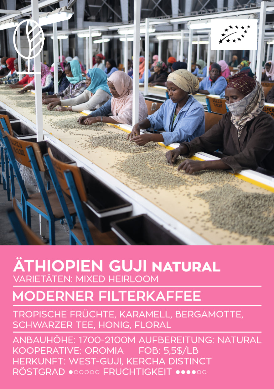 ÄTHIOPIEN GUJI NATURAL | Moderner Filterkaffee  | Single Origin