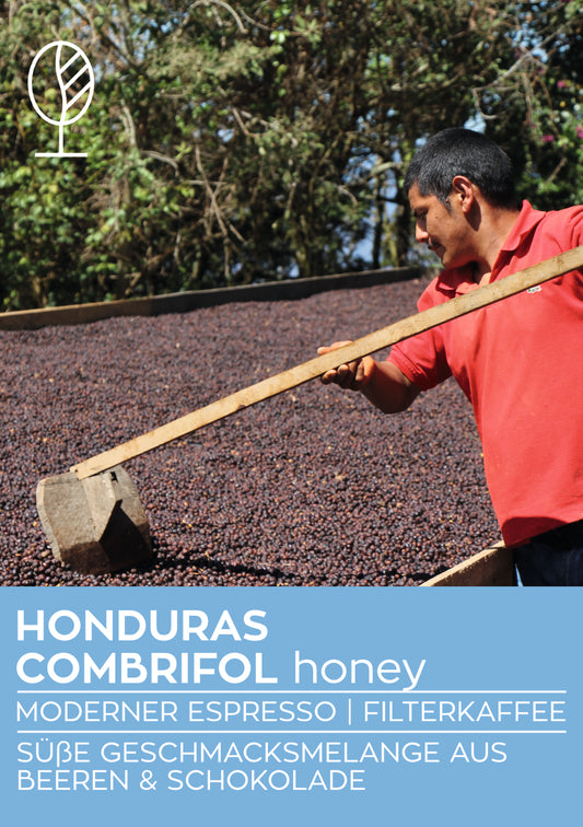 Honduras Honey | Moderner Filterkaffee