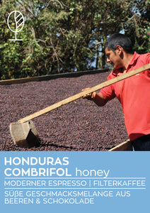 HONDURAS COMBRIFOL HONEY | Moderner Filterkaffee | Single Origin