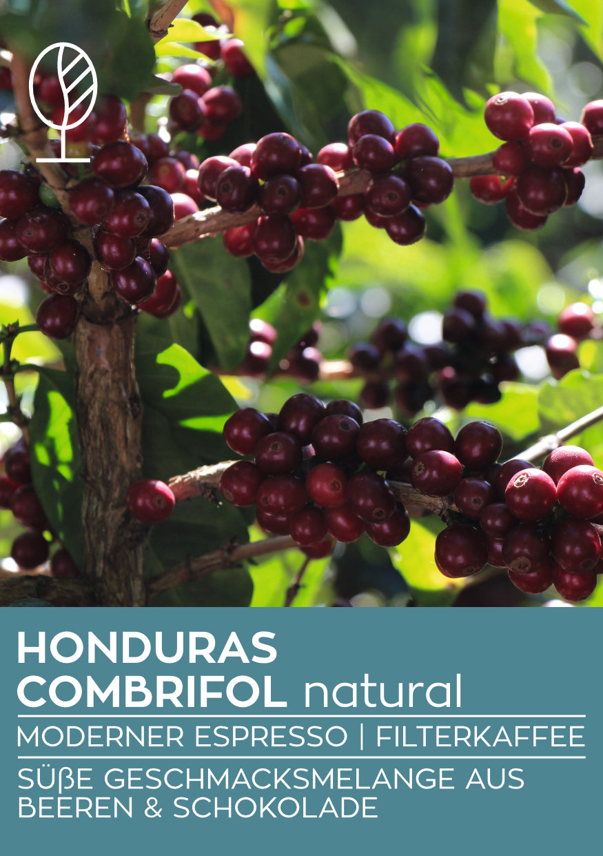 HONDURAS COMBRIFOL NATURAL | Moderner Espresso | Single Origin