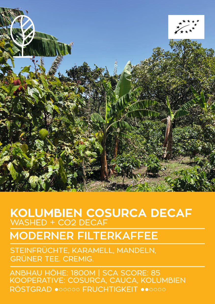 KOLUMBIEN COSURCA DECAF/ENTKOFFEINIERT | Moderner Filterkaffee | Single Origin