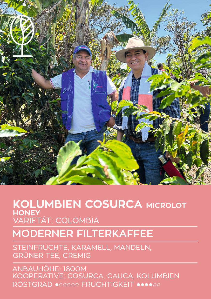 KOLUMBIEN COSURCA | Honey Microlot | Moderner Filterkaffee | Single Origin