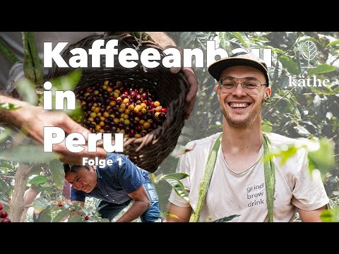 PERU HONEY YEAH! | Moderner Espresso | Single Origin