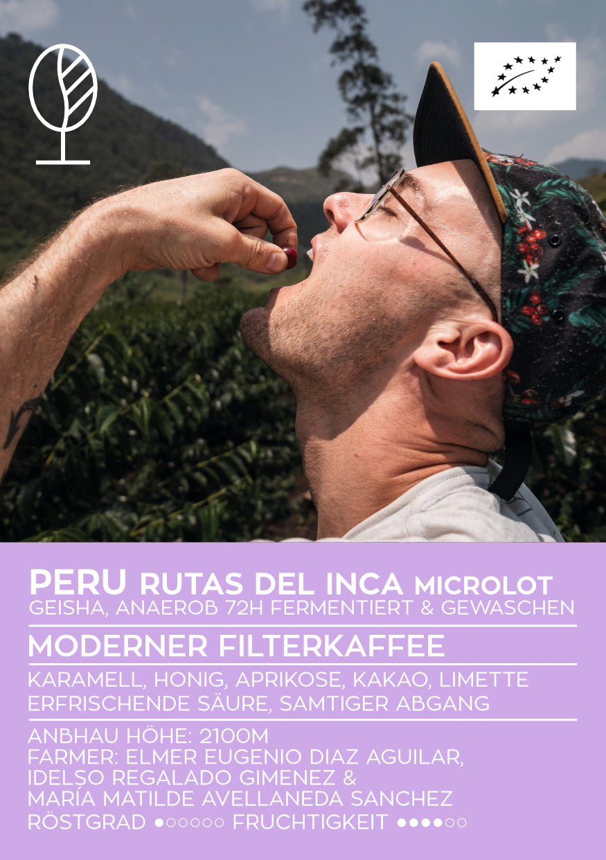 RUTAS DEL INCA | Peru Microlot Anaerob Gewaschen | Moderner Filterkaffee | Single Origin