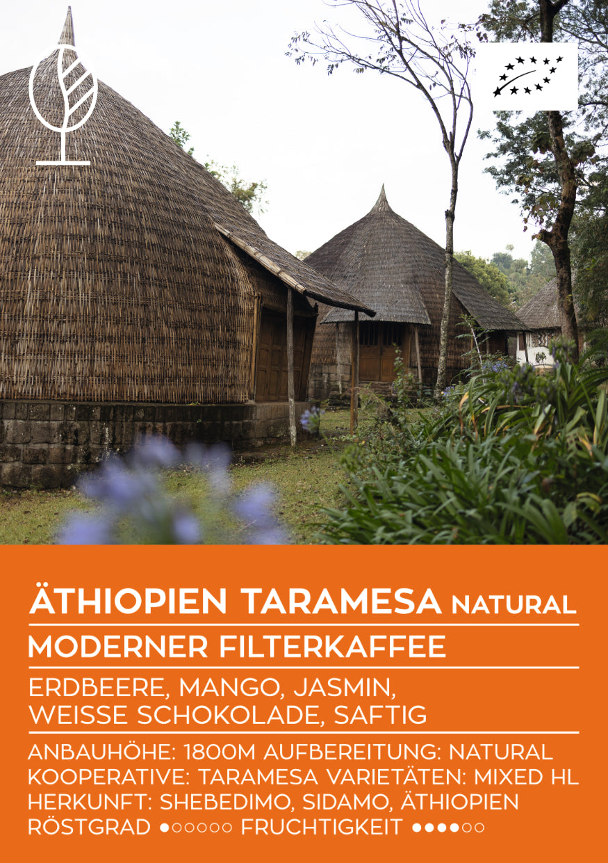 ÄTHIOPIEN TARAMESA NATURAL | Moderner Filterkaffee  | Single Origin