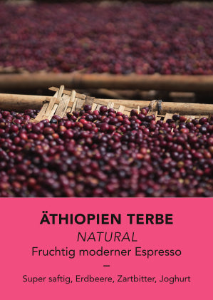 Äthiopien Terbe, Natural | Espresso