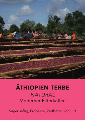Äthiopien Terbe, Natural | Moderner Filterkaffee