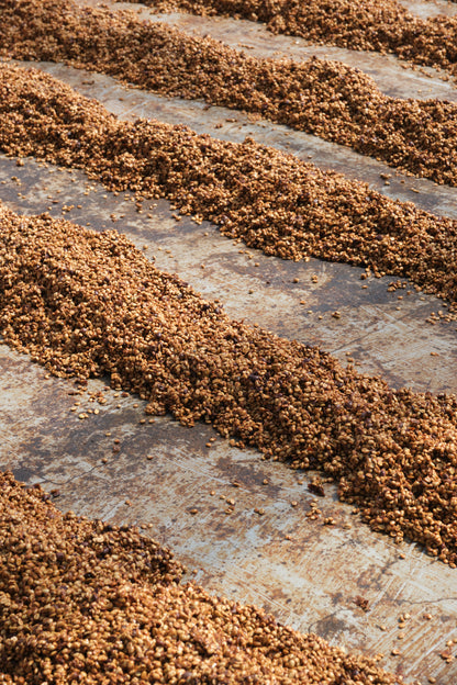 Costa Rica ANAEROBIC DOUBLE DIAMOND NATURAL Finca San Luis | Moderner Filterkaffee