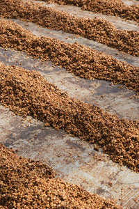 Costa Rica ANAEROBIC DOUBLE DIAMOND NATURAL Finca San Luis | Moderner Filterkaffee