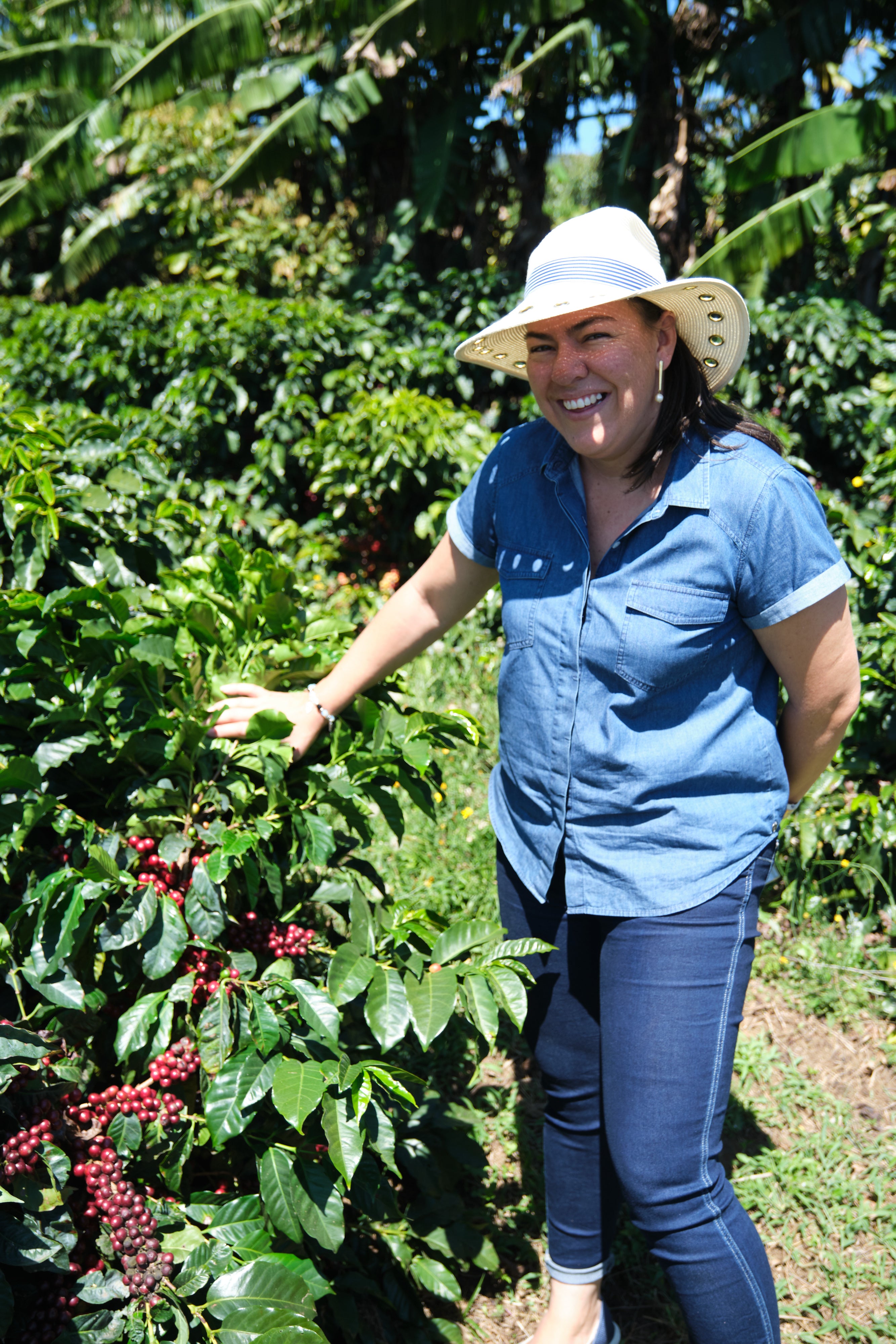 Costa Rica ANAEROBIC DOUBLE DIAMOND NATURAL Finca San Luis | Moderner Filterkaffee